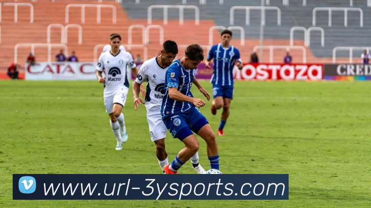 三亿体育平台生态图