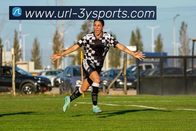 三亿体育APP 封面图